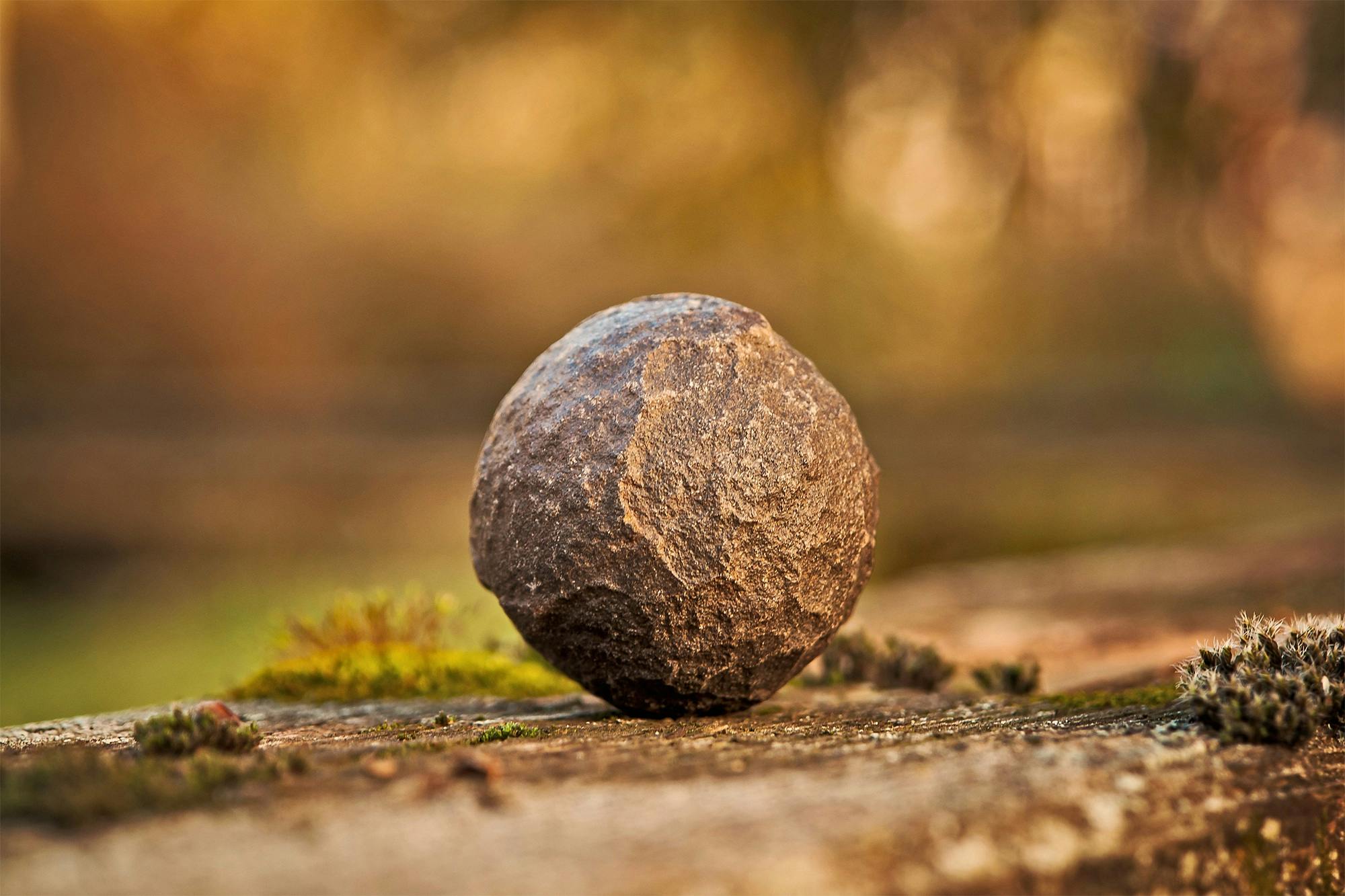 Rock & Roll Hall of Fame: ¿Estrategia de Marketing o Autenticidad en Juego?