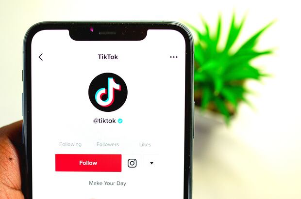 TikTok revela «Creator Search Insights» para creadores
