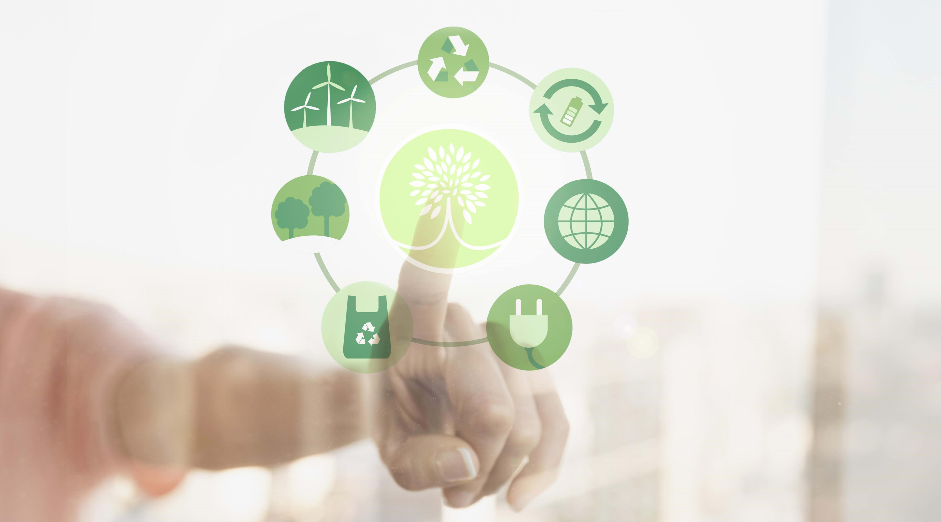 Marketing Verde: Clave para el Futuro Empresarial