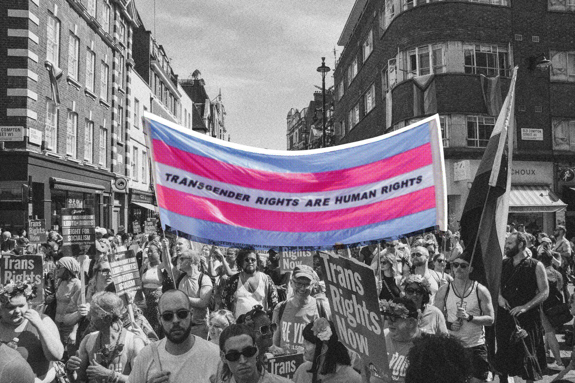 Estrategias Demócratas ante Retórica Anti-Trans