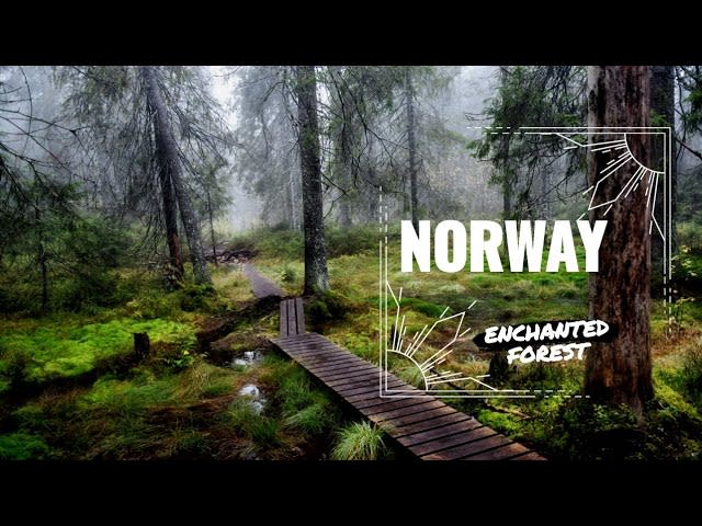 Haaland y Beats: Innovación en el Deporte