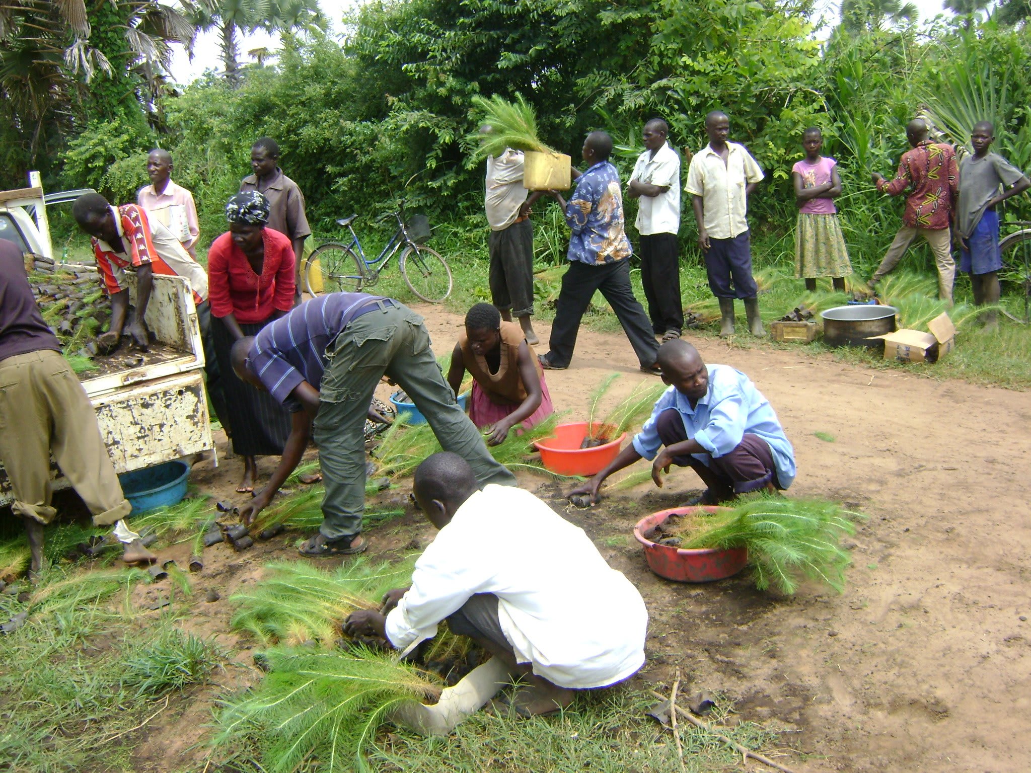 Impulsa el Orgullo Comunitario Local