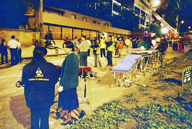 El Nogal: De Galicia al Mundo con Innovación y Sostenibilidad