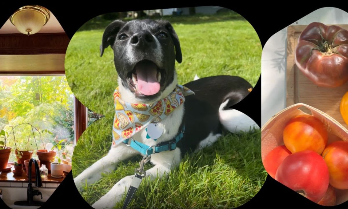 YouTube: Fotos a Shorts con IA