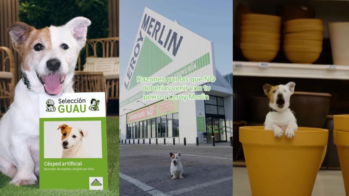 Perros Diseñadores: Leroy Merlin Lanza Campaña Pet Friendly Innovadora