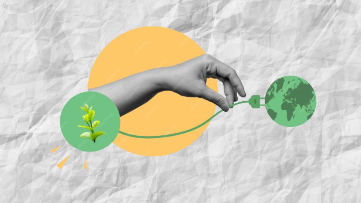 Marcas: Sostenibilidad, Clave para Éxito y Supervivencia Empresarial