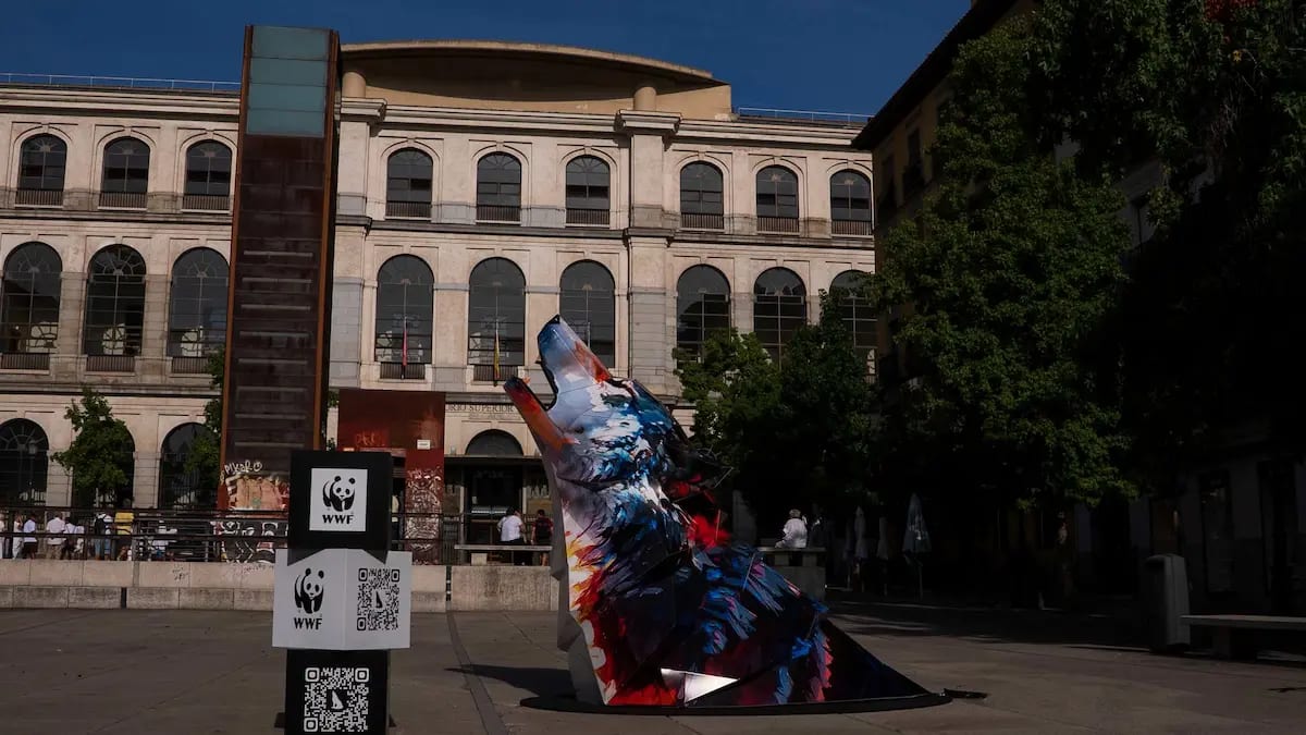 El Lobo Ibérico Aúlla en Madrid: WWF y Está Pasando por su Protección