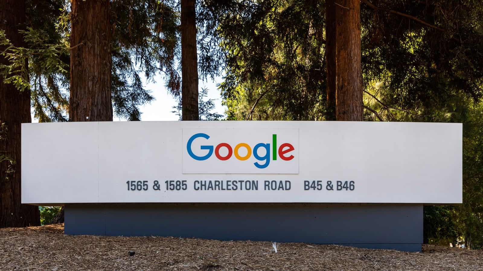 Cartel corporativo de Google en Charleston Road, Mountain View, con árboles altos al fondo