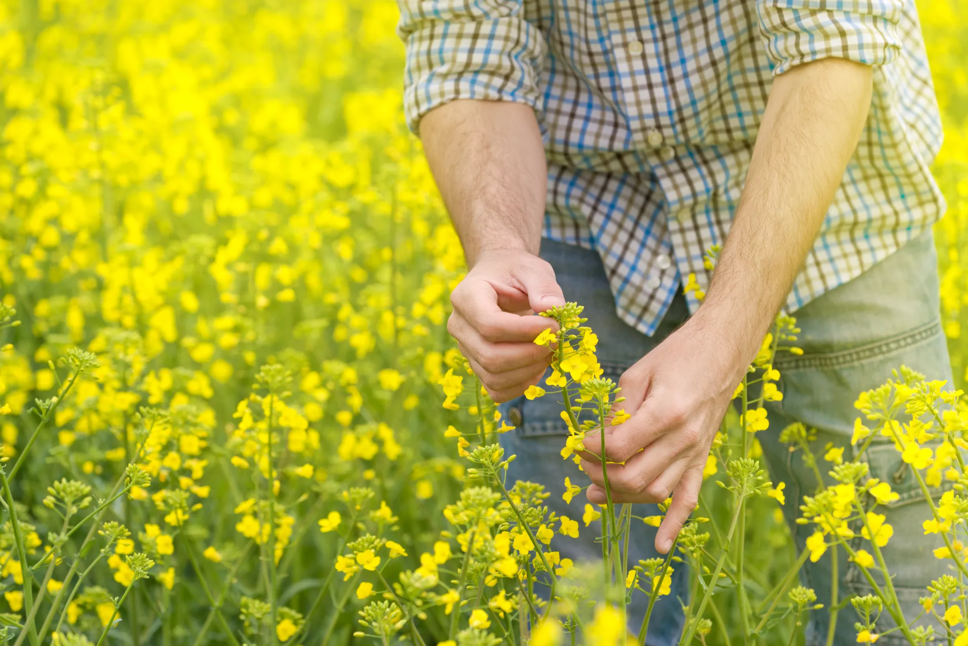Les biosolutions atout majeur de la transition agroécologique