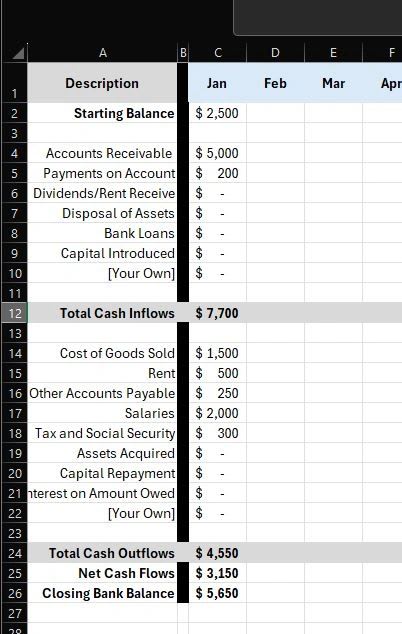Company cash flow planner built in Excel
