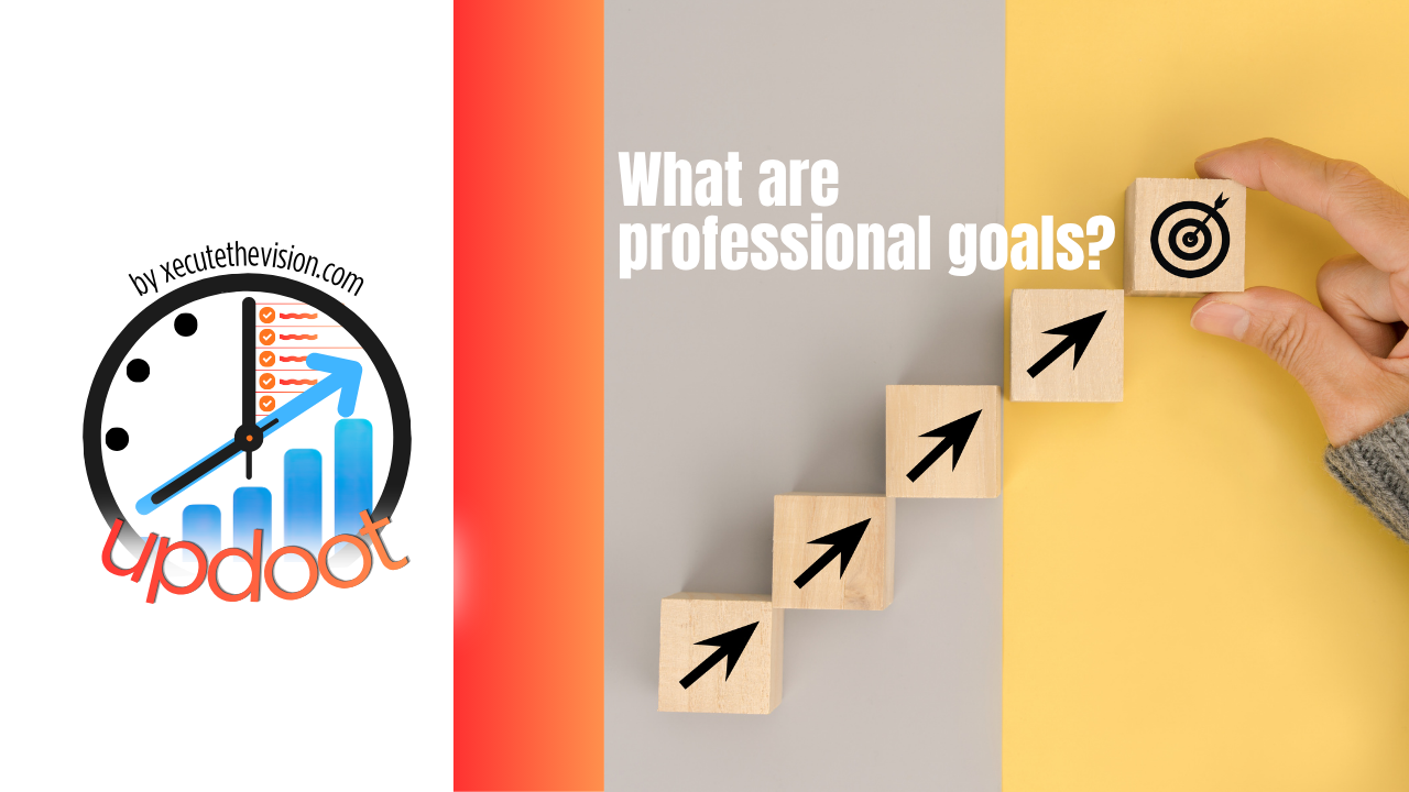 What Are Professional Goals?
