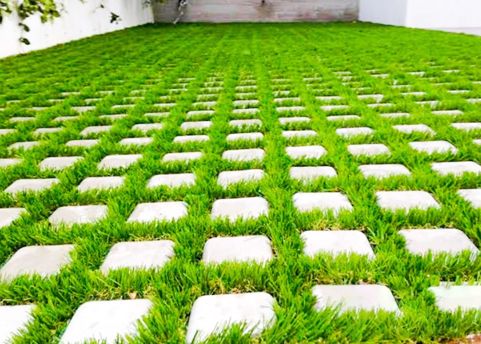 Our Products Background