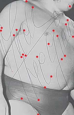 Binder Comparison Points