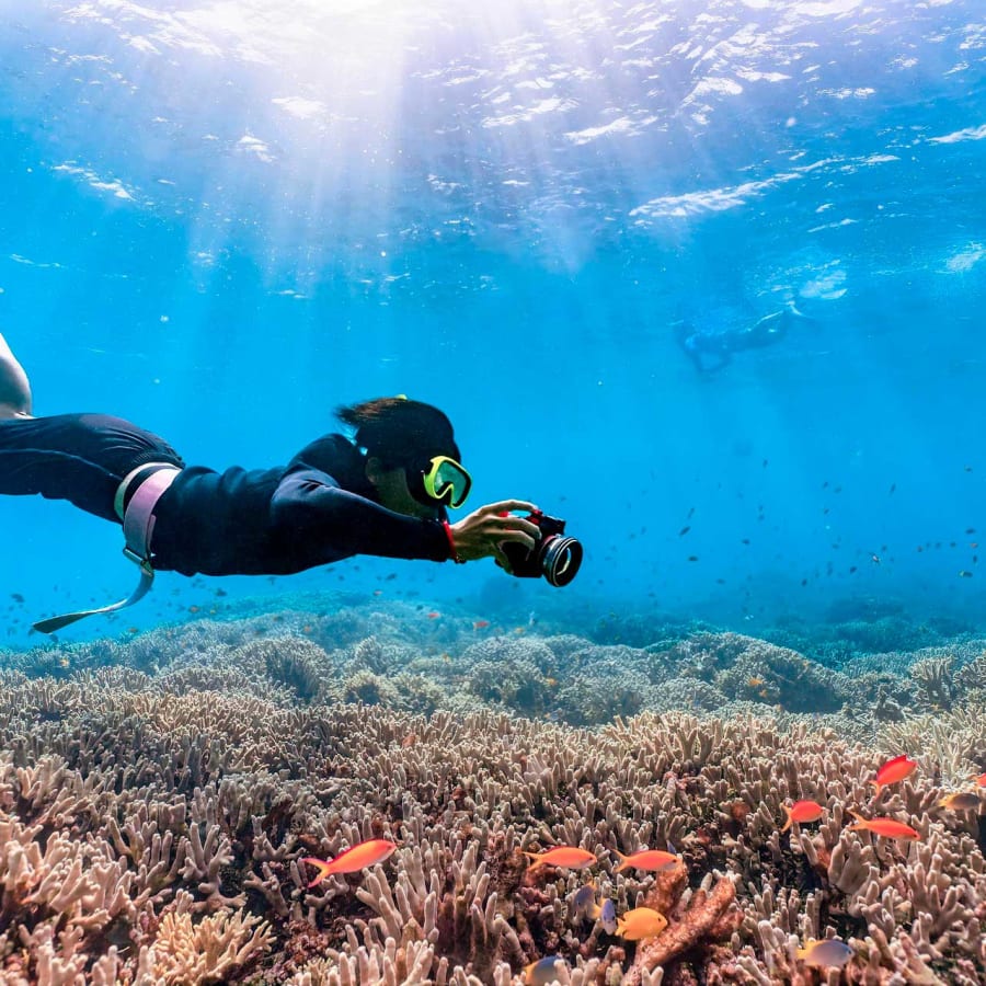 Underwater scenery during a diving experience
