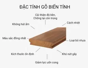 Gỗ biến tính Tất cả những gì bạn cần biết về loại gỗ ưa chuộng trong xây dựng