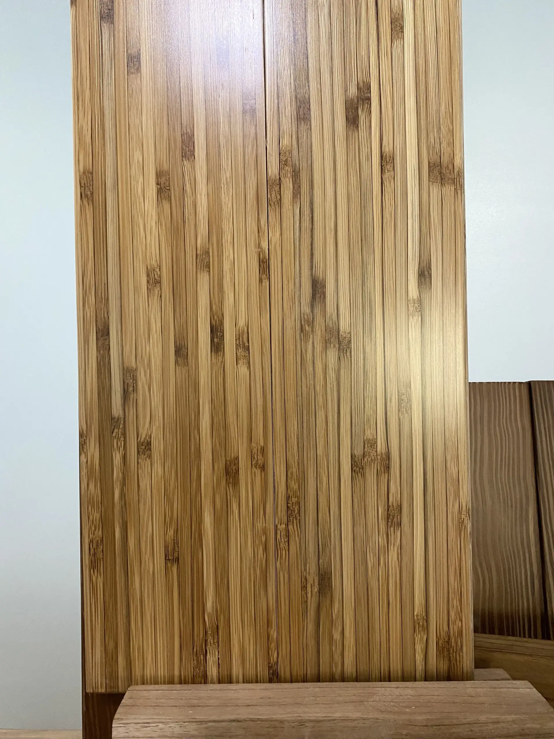 Van san Tre bien tinh 1