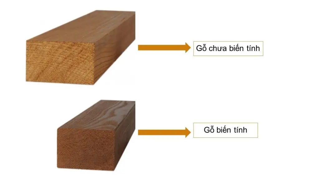 Ứng Dụng Gỗ Tần Bì Biến Tính Trong Kiến Trúc