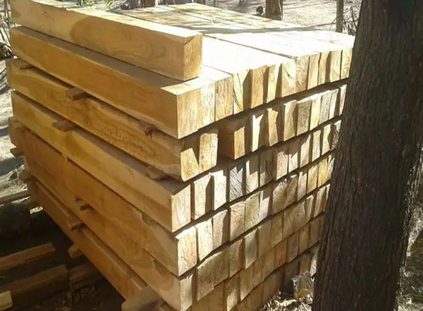 Gỗ Teak Xẻ Nhập Khẩu: Tuyệt tác từ thiên nhiên Gỗ Teak Xẻ Nhập Khẩu: Tuyệt tác từ thiên nhiên