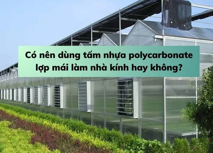 Kính Nhựa Polycarbonate: Ứng Dụng, Ưu Điểm Hướng Dẫn Sử Dụng Kính Nhựa Polycarbonate: Ứng Dụng, Ưu Điểm Hướng Dẫn Sử Dụng