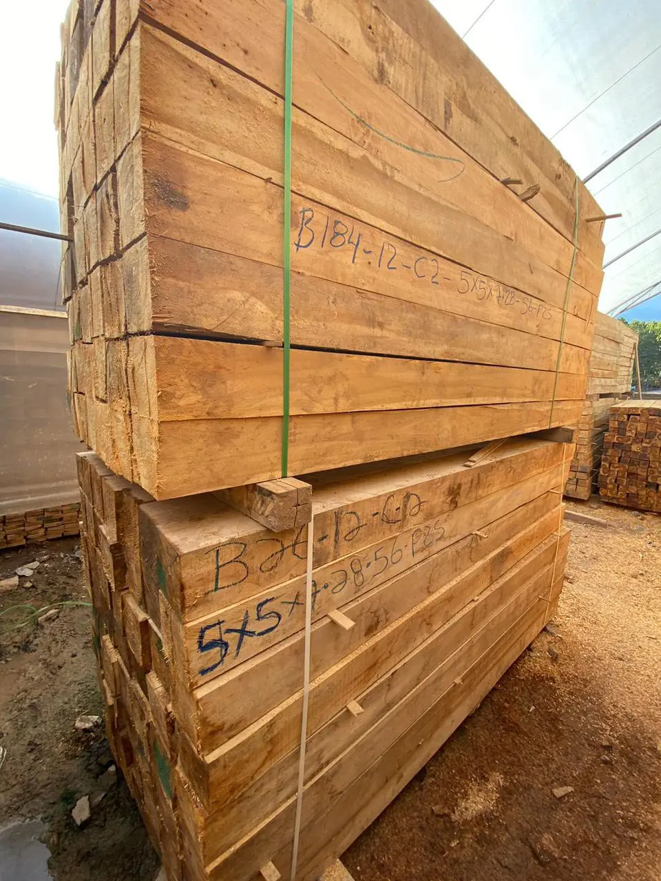 Gỗ Teak Hộp: Tính năng, ứng dụng và lợi ích Gỗ Teak Hộp: Tính năng, ứng dụng và lợi ích