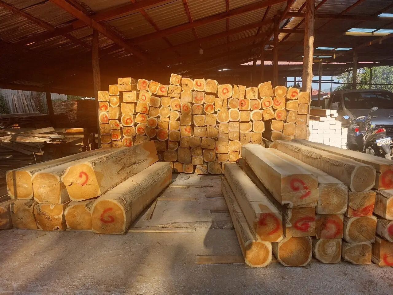 Gỗ Teak Hộp: Tính năng, ứng dụng và lợi ích