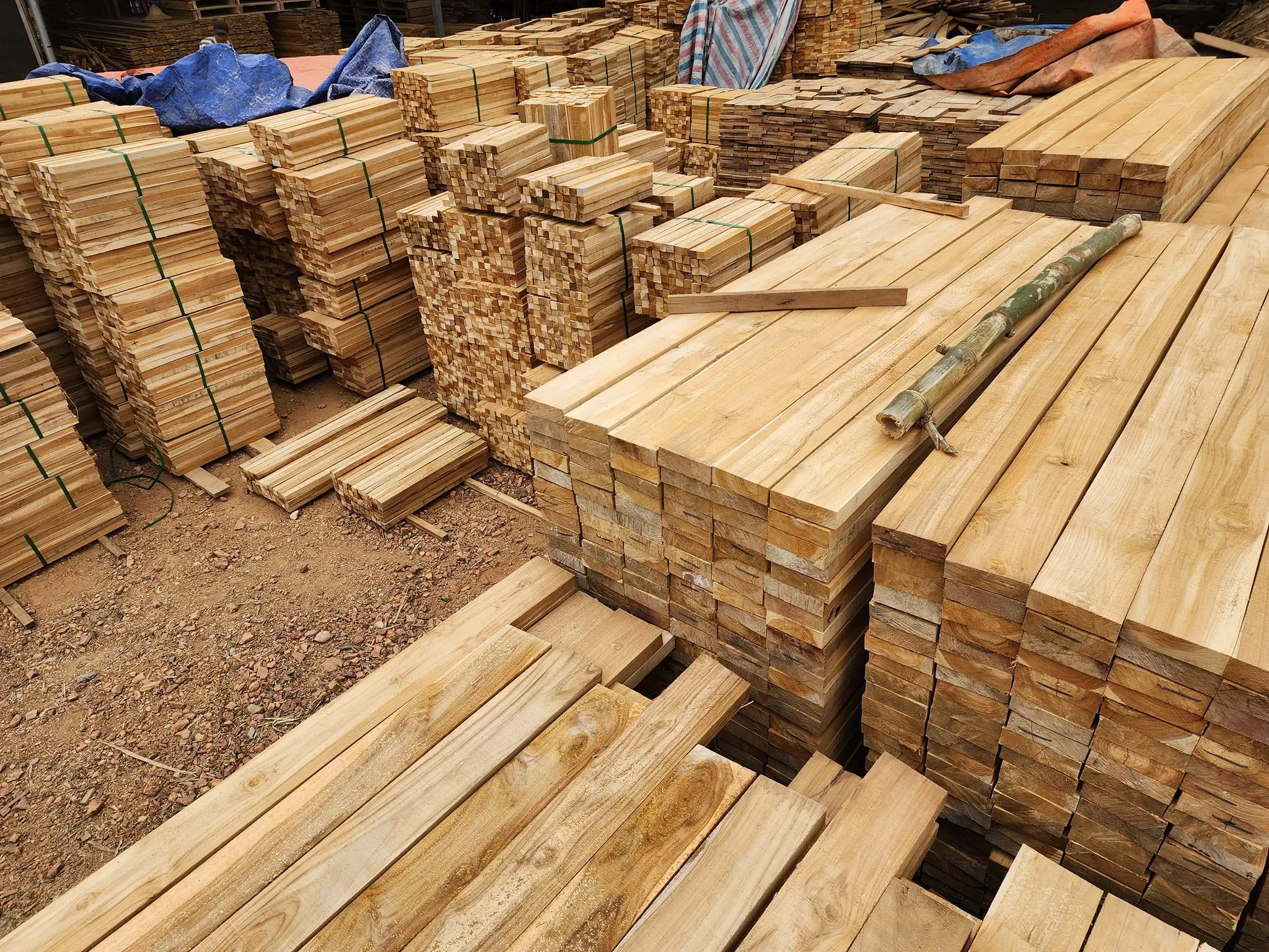 Gỗ Teak Hộp: Tính năng, ứng dụng và lợi ích