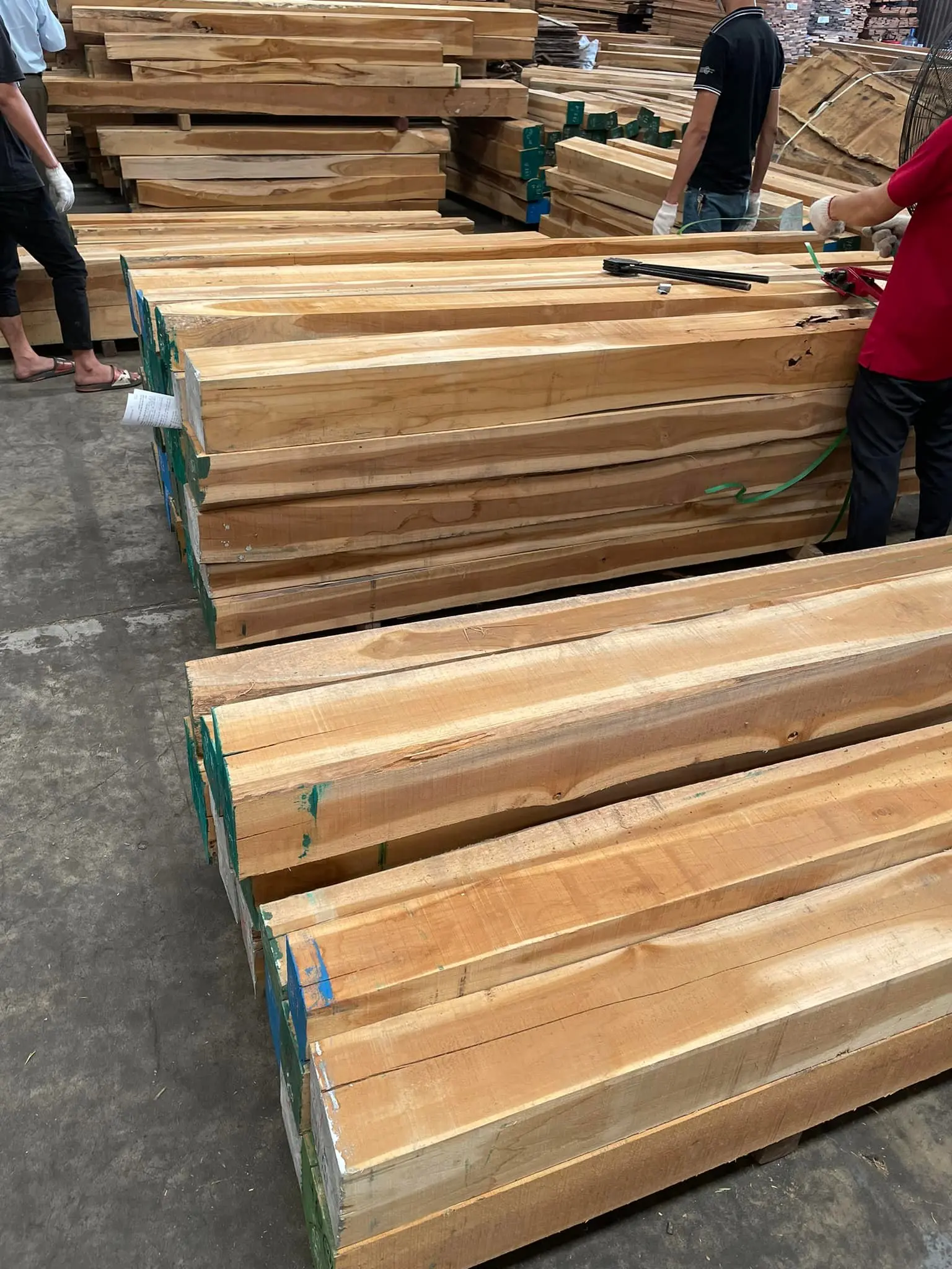 Báo giá gỗ Teak nguyên khối: Tìm hiểu về loại gỗ quý và độc đáo này Báo giá gỗ Teak nguyên khối: Tìm hiểu về loại gỗ quý và độc đáo này