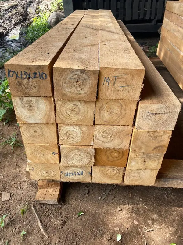 Báo giá gỗ Teak nguyên khối: Tìm hiểu về loại gỗ quý và độc đáo này Báo giá gỗ Teak nguyên khối: Tìm hiểu về loại gỗ quý và độc đáo này