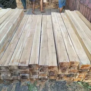 Báo giá gỗ Teak nguyên khối: Tìm hiểu về loại gỗ quý và độc đáo này Báo giá gỗ Teak nguyên khối: Tìm hiểu về loại gỗ quý và độc đáo này