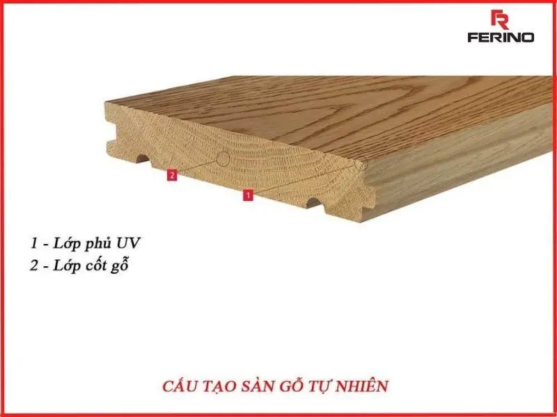 Sàn gỗ tự nhiên cao cấp: Giải pháp hoàn hảo cho không gian sống