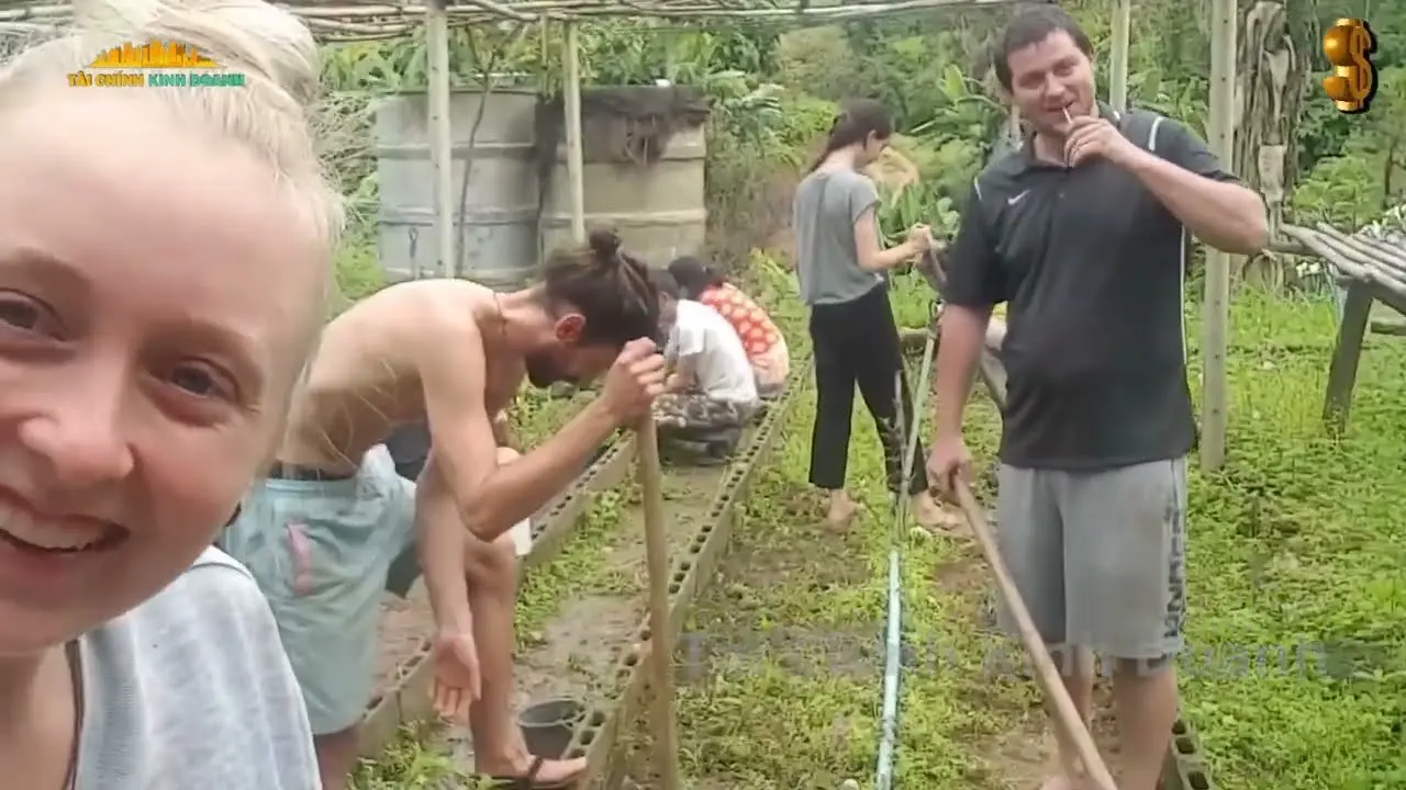 Kinh Nghiệm Kinh Doanh Homestay Từ A-Z | Bí Quyết Thành Công