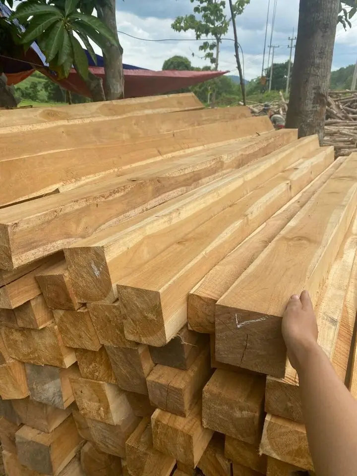 Bảng báo giá gỗ teak: Tìm hiểu về giá và ứng dụng