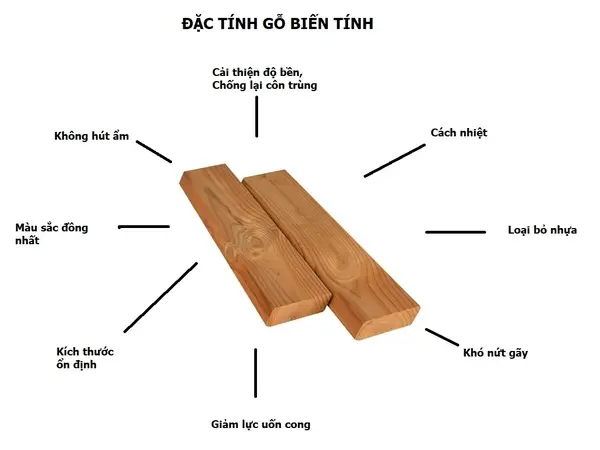 Sàn gỗ Thermo Pine đẳng cấp tại TP.HCM: Sự lựa chọn hoàn hảo cho không gian ngoài trời