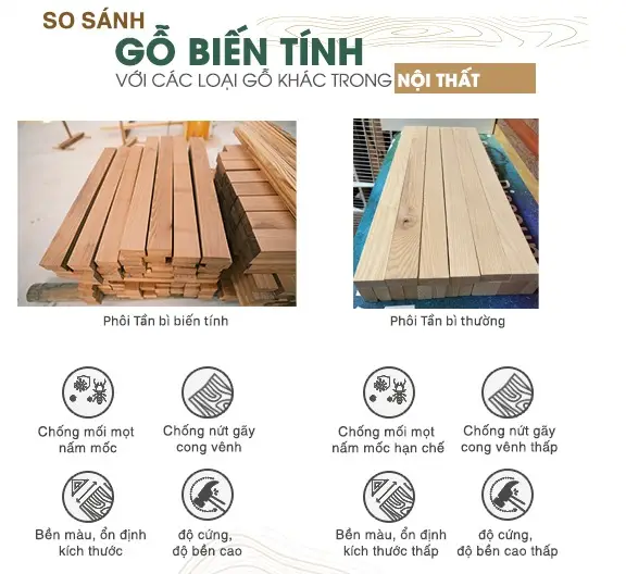 Gỗ biến tính – Công nghệ đột phá trong ngành vật liệu xây dựng và nội thất hiện đại Gỗ biến tính – Công nghệ đột phá trong ngành vật liệu xây dựng và nội thất hiện đại