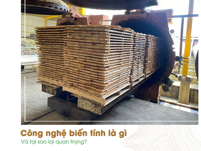 Sàn gỗ Tần bì biến tính - Giải pháp hoàn hảo cho không gian nội thất vượt trội