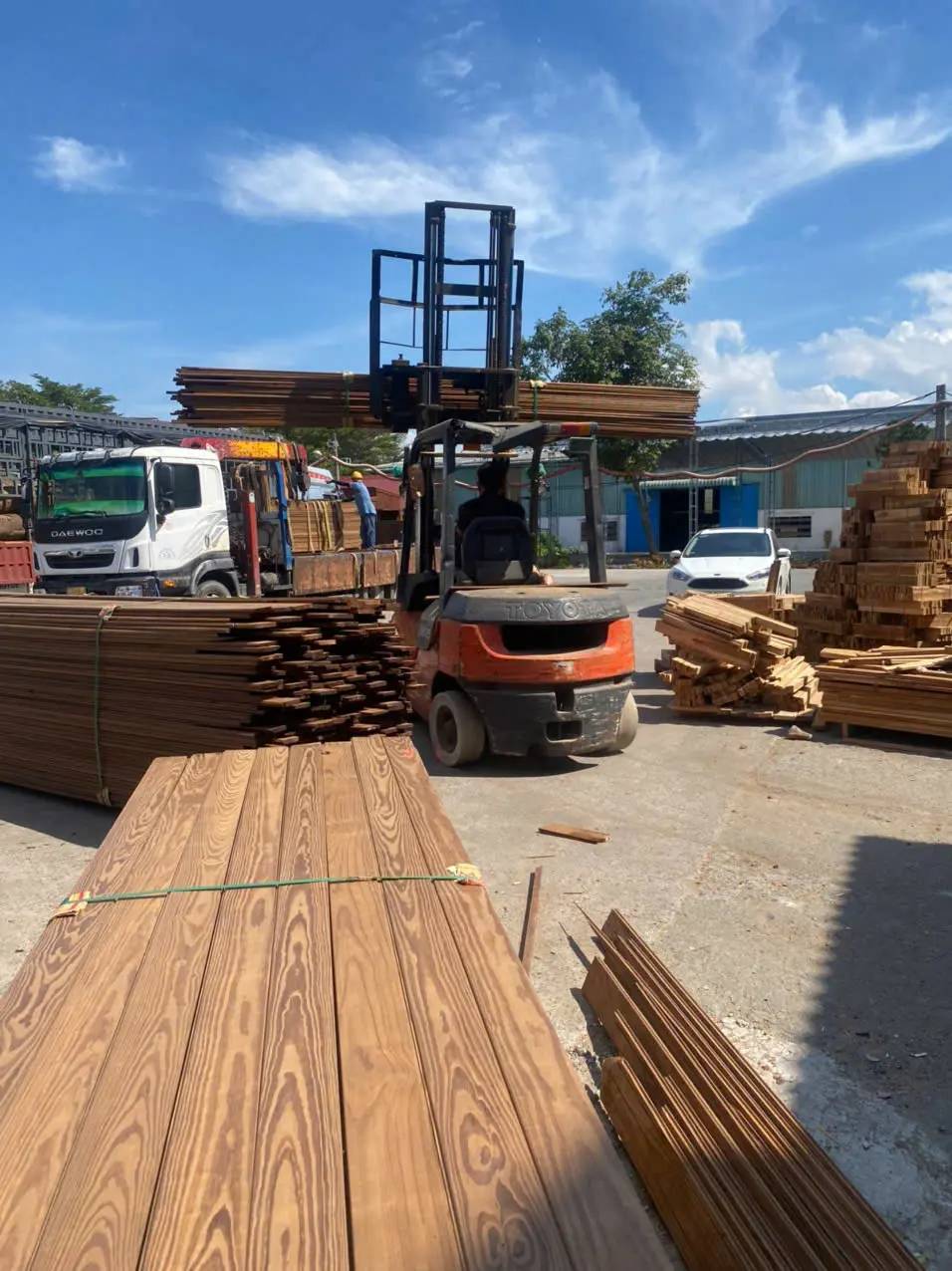 Sàn gỗ Tần bì biến tính - Giải pháp hoàn hảo cho không gian nội thất vượt trội Sàn gỗ Tần bì biến tính - Giải pháp hoàn hảo cho không gian nội thất vượt trội