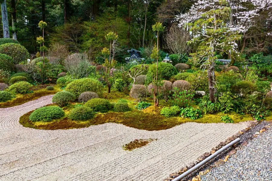 Hướng dẫn trang trí sân vườn hoàn hảo