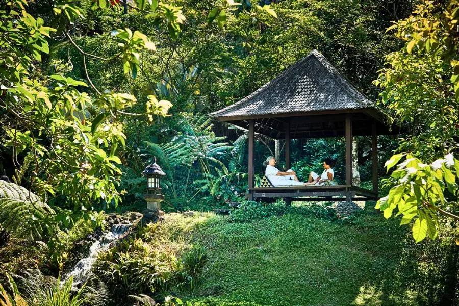 Hướng dẫn trang trí sân vườn hoàn hảo