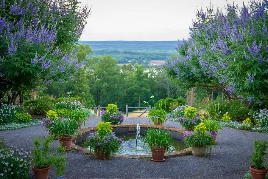 Hướng dẫn trang trí sân vườn hoàn hảo