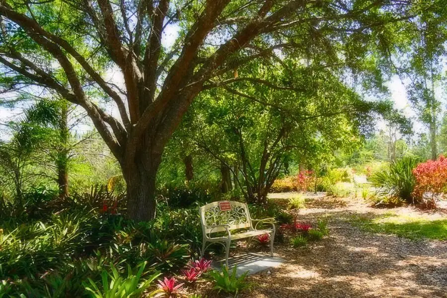 Hướng dẫn trang trí sân vườn hoàn hảo