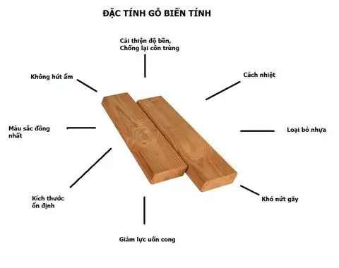 Khám Phá Gỗ Thông Biến Tính - Đột Phá Trong Ngành Xây Dựng Và Nội Thất Hiện Đại