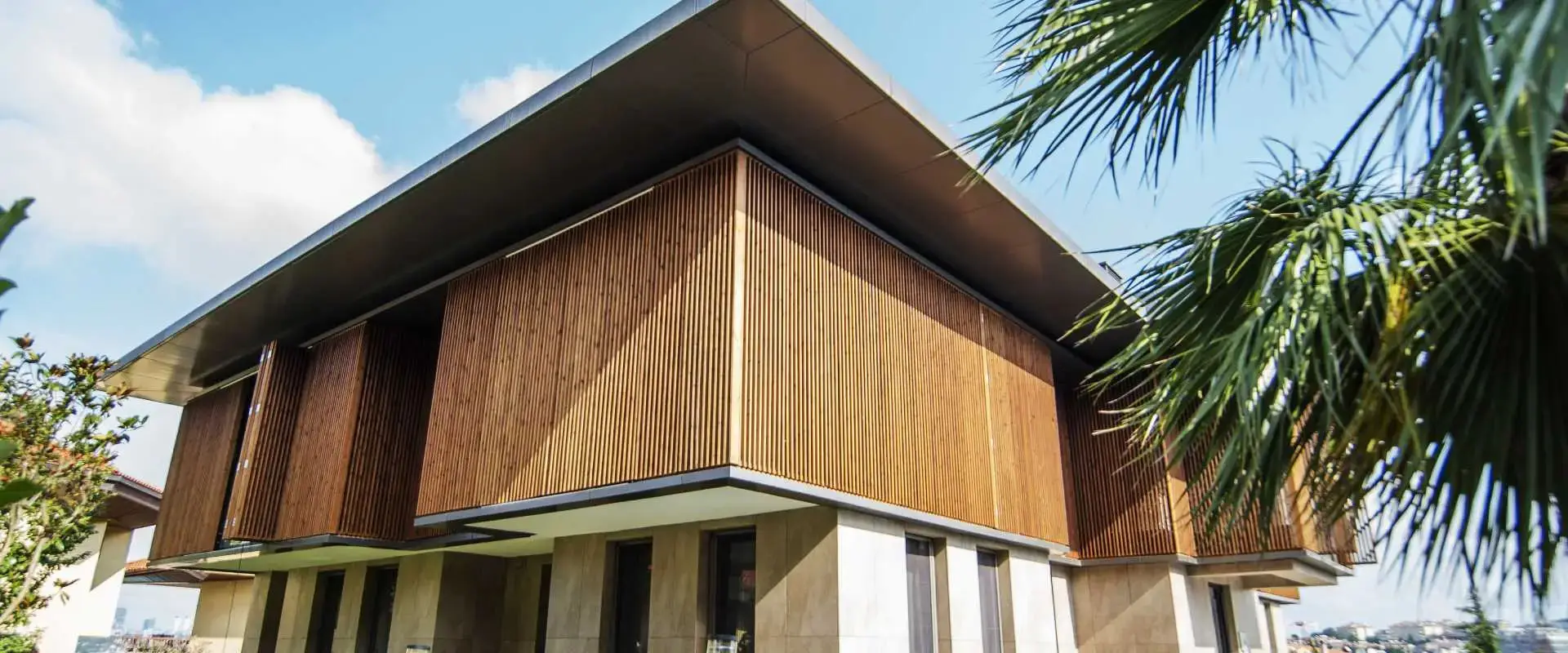 Gỗ Thông Biến Tính: Ứng Dụng, Ưu Điểm và Phương Pháp Xử Lý