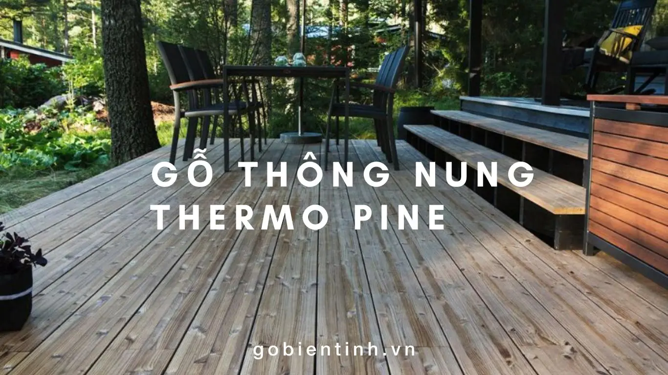 Gỗ Thông Biến Tính: Ứng Dụng, Ưu Điểm và Phương Pháp Xử Lý