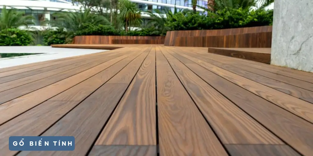 Gỗ Thông Biến Tính: Ứng Dụng, Ưu Điểm và Phương Pháp Xử Lý