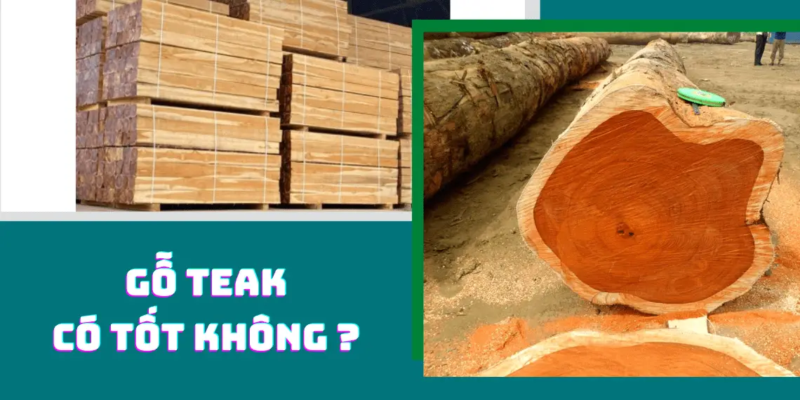Kho Gỗ Teak: Tìm Hiểu Về Gỗ Teak Và Ứng Dụng Trong Kho Gỗ