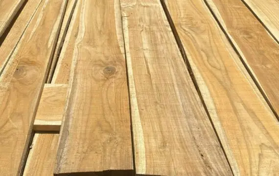 Kho Gỗ Teak: Tìm Hiểu Về Gỗ Teak Và Ứng Dụng Trong Kho Gỗ