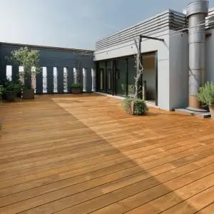 Gỗ Teak sàn ngoài trời: Đầy đủ thông tin và ứng dụng Gỗ Teak sàn ngoài trời: Đầy đủ thông tin và ứng dụng
