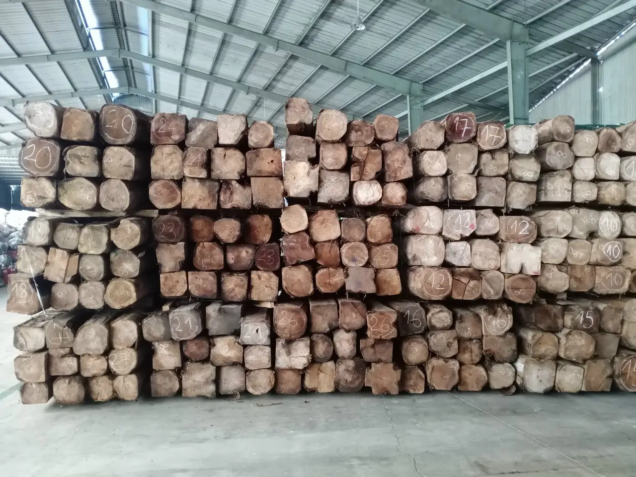 Giá gỗ teak 2026: Tổng quan về thị trường gỗ teak và dự đoán giá trong năm 2026