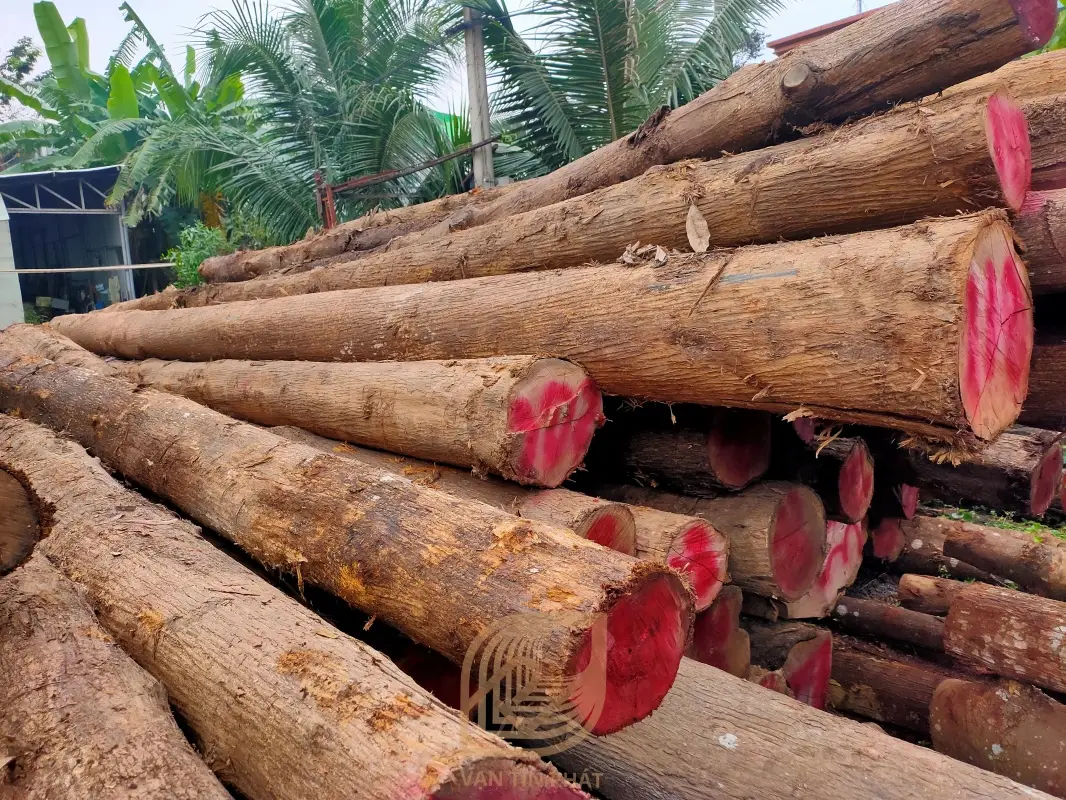 Mua bán gỗ Teak: Tất cả những gì bạn cần biết