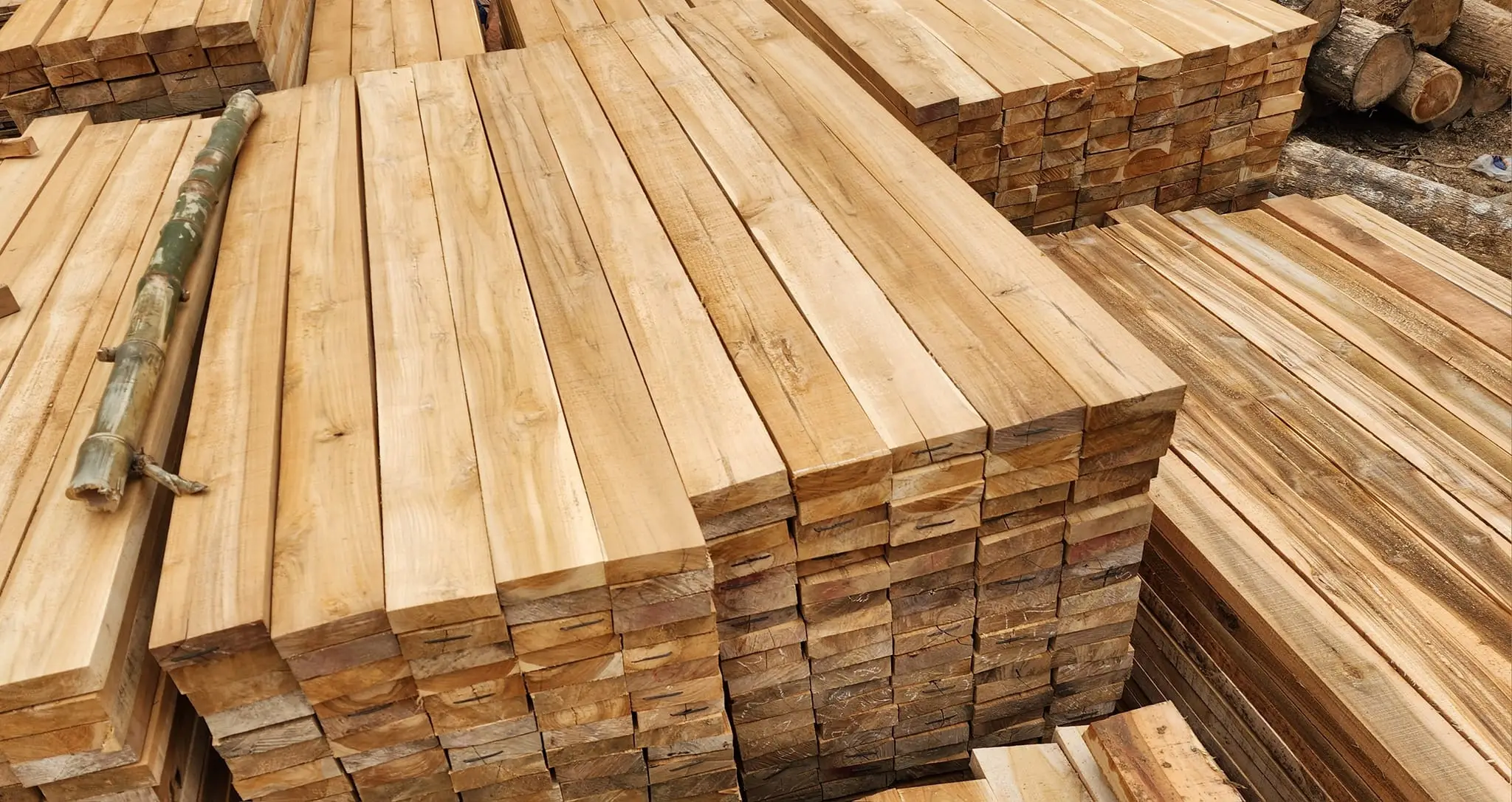 Mua bán gỗ Teak: Tất cả những gì bạn cần biết